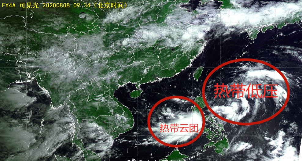 东莞台风最新动态分析