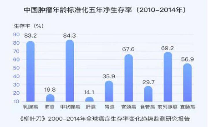 2024澳门今晚开奖号码香港记录,深度分析解析说明_WP版31.846