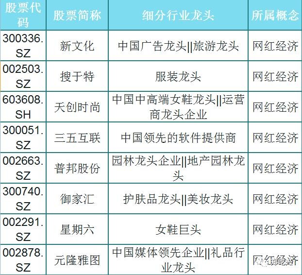 2024新澳门正版免费资料,功能性操作方案制定_网红版57.436