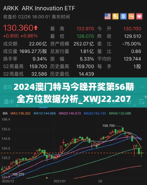 2024年今晚澳门开特马,稳定性设计解析_S86.471