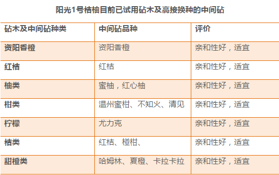 7175cσm如何查询澳彩开奖记录_,科技成语解析说明_免费版58.589