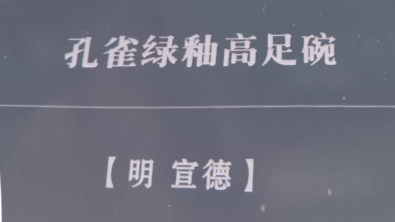 2024新奥天天免费资料,权威诠释推进方式_专业版150.205