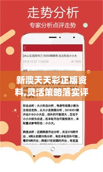 新澳天天开奖资料单双,动态词语解释落实_ios46.987