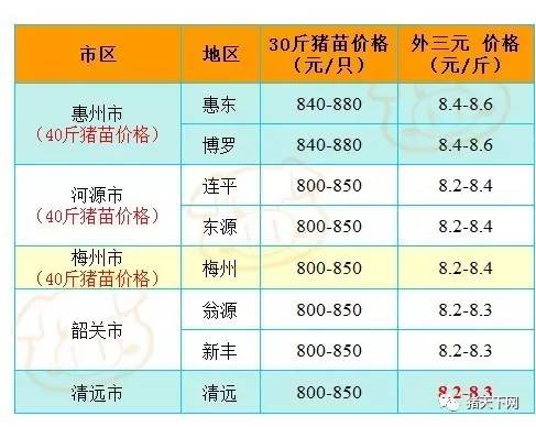 莲塘招聘网最新招聘动态深度解读与分析