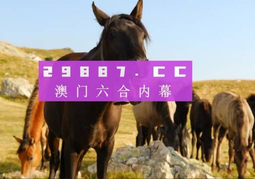 澳门管家婆资料一码一特一｜全面数据解释落实