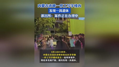 无人认领无名女尸揭示社会现象深度探究