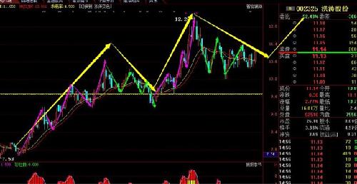 金螳螂最新动态，数字转型迈向崭新未来